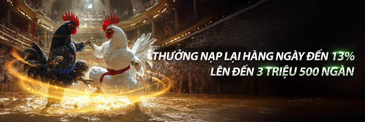 Đá gà trực tuyến zb368 win với trận đấu kịch tính