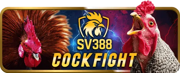 Ưu đãi nạp tiền đặc biệt cho VIP zb368 win